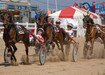 OHHA to Live Stream Races from Pike County and Summit County Fairs