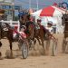 OHHA to Live Stream Races from Pike County and Summit County Fairs 2 OHHA to Live Stream Races from Pike County and Summit County Fairs