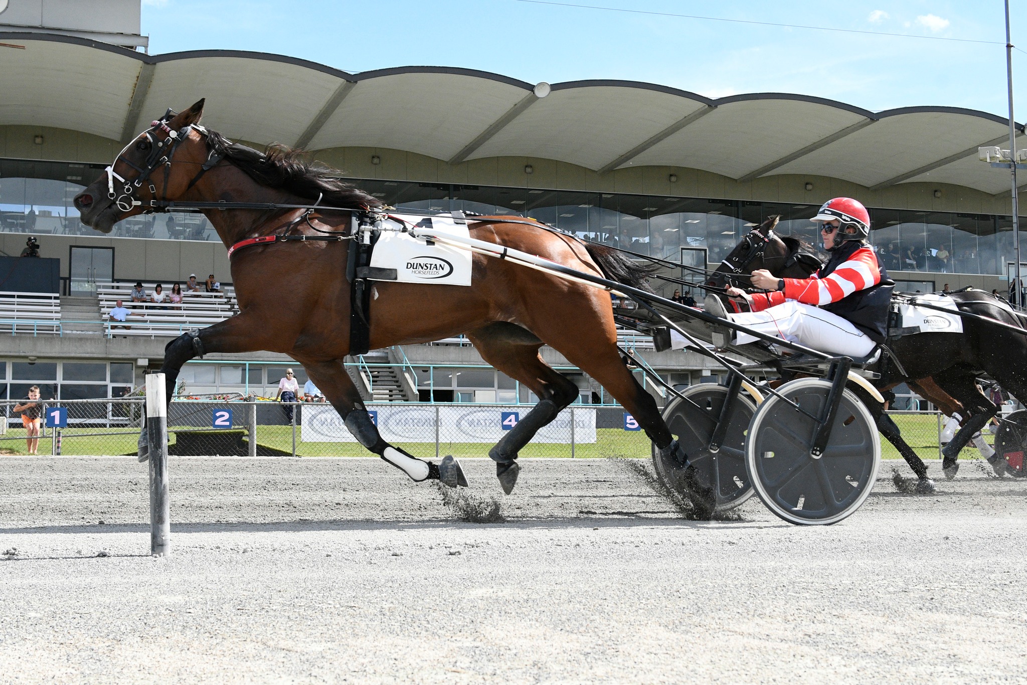 Faith In Manchester claims second Breeders Stakes 1