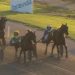 Far Wise As wins Gr. I Sprintermastaren Final