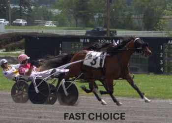 Fast Choice, Dandy Ideal take NYSS heats