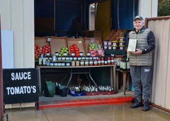 80yo trainer and Madam Reactor prove the winning recipe