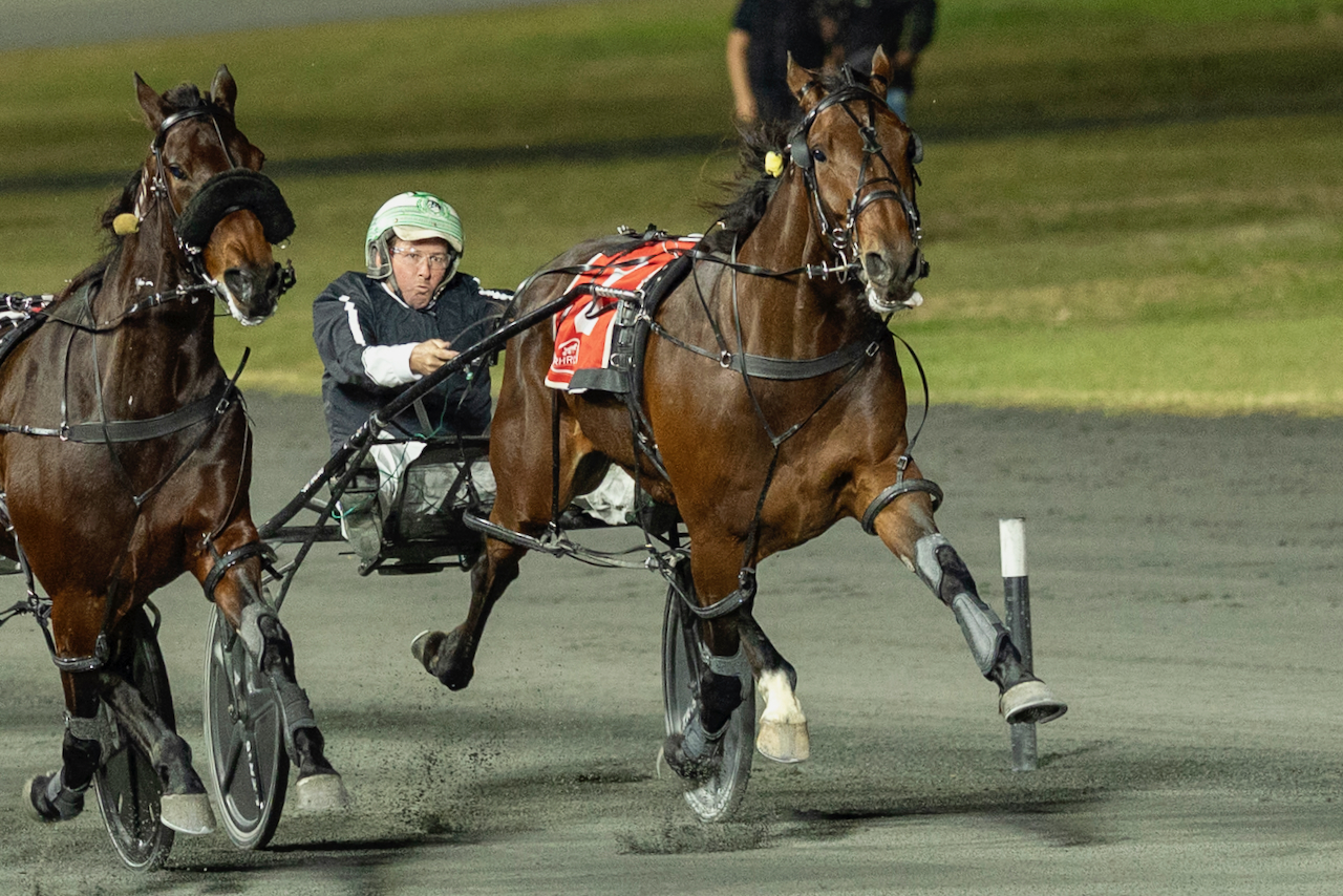 Weekly spotlight on breeding 2