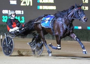 Favourites win New South Wales Two and Three Year Old Trot Finals