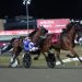 Golden Sunset in shock Inter Dominion heat success