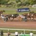 Fleuron d’Acadie upset winner at Enghien