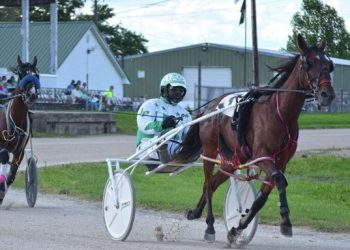OHHA to Live Stream Races from Greene County Fair