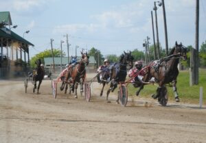 Freshmen colt trotters open BSS