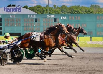 Gritty victory for Stay Hungry filly