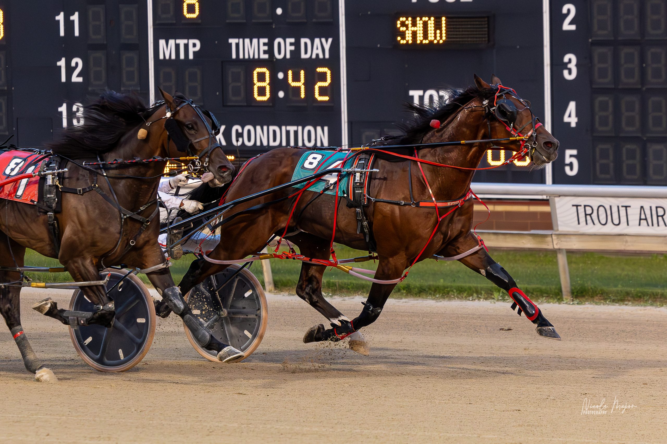 All Champy, He'zzz A Wise Sky take Aces major events 2