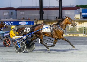 Incaseyoudidntknow impressive in the slop