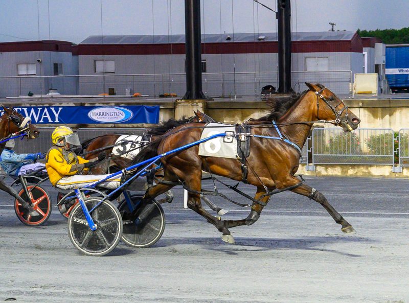 Incaseyoudidntknow impressive in the slop 1