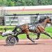 TAYLOR CO-OWNER OF TOP TROT, PACE WINNERS AT POCONO