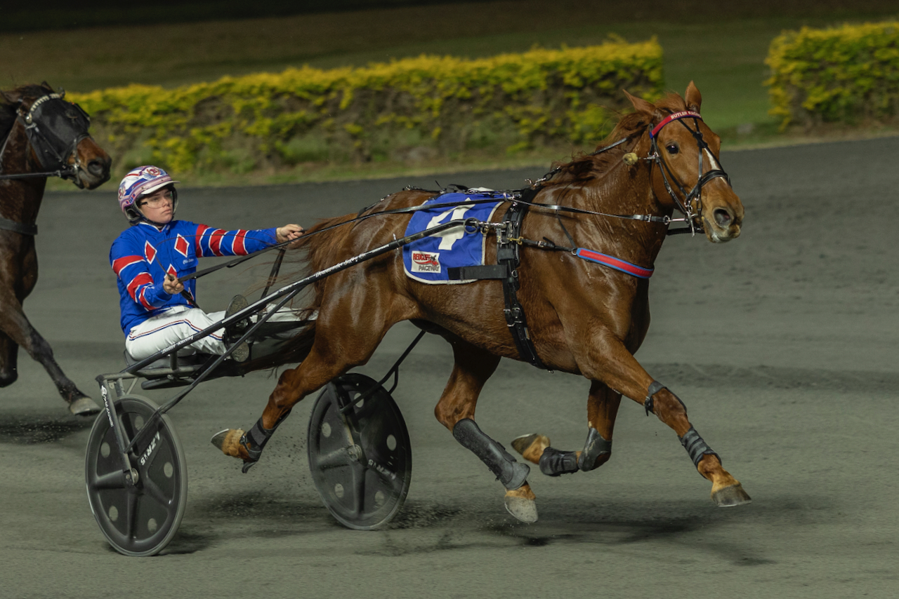 Weekly spotlight on breeding 4