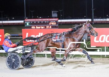 Laugher tasting success in Tassie campaign