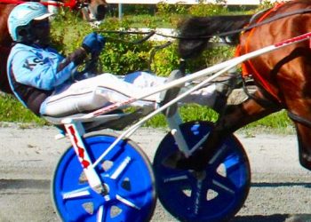 Switzer swats five at Bangor