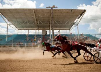 OHHA to Live Stream Races from Seneca, Union, and Knox County Fairs