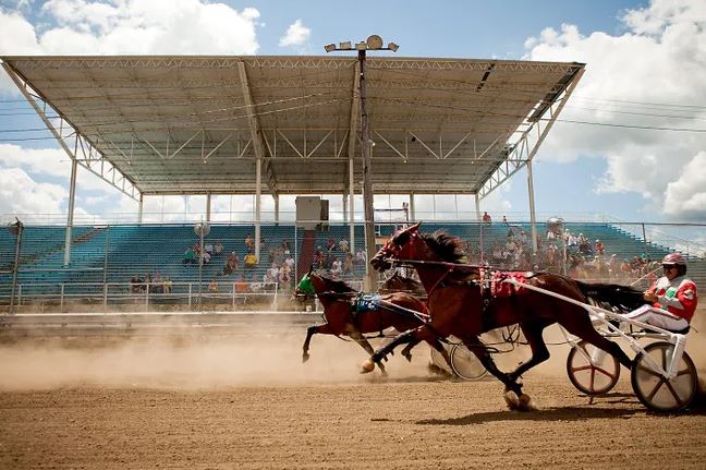 OHHA to Live Stream Races from Seneca, Union, and Knox County Fairs 1