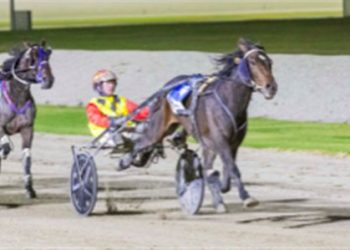 Lady Vici’s first up win a sign of things to come