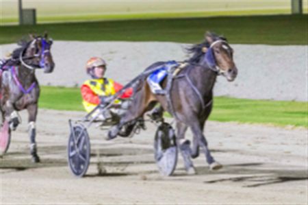 Lady Vici’s first up win a sign of things to come 1