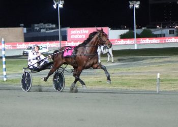 Leap To Fame in total domination mode