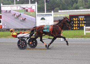 Lazarus gelding scorches a career best 1:49.1