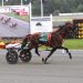 Lazarus gelding scorches a career best 1:49.1