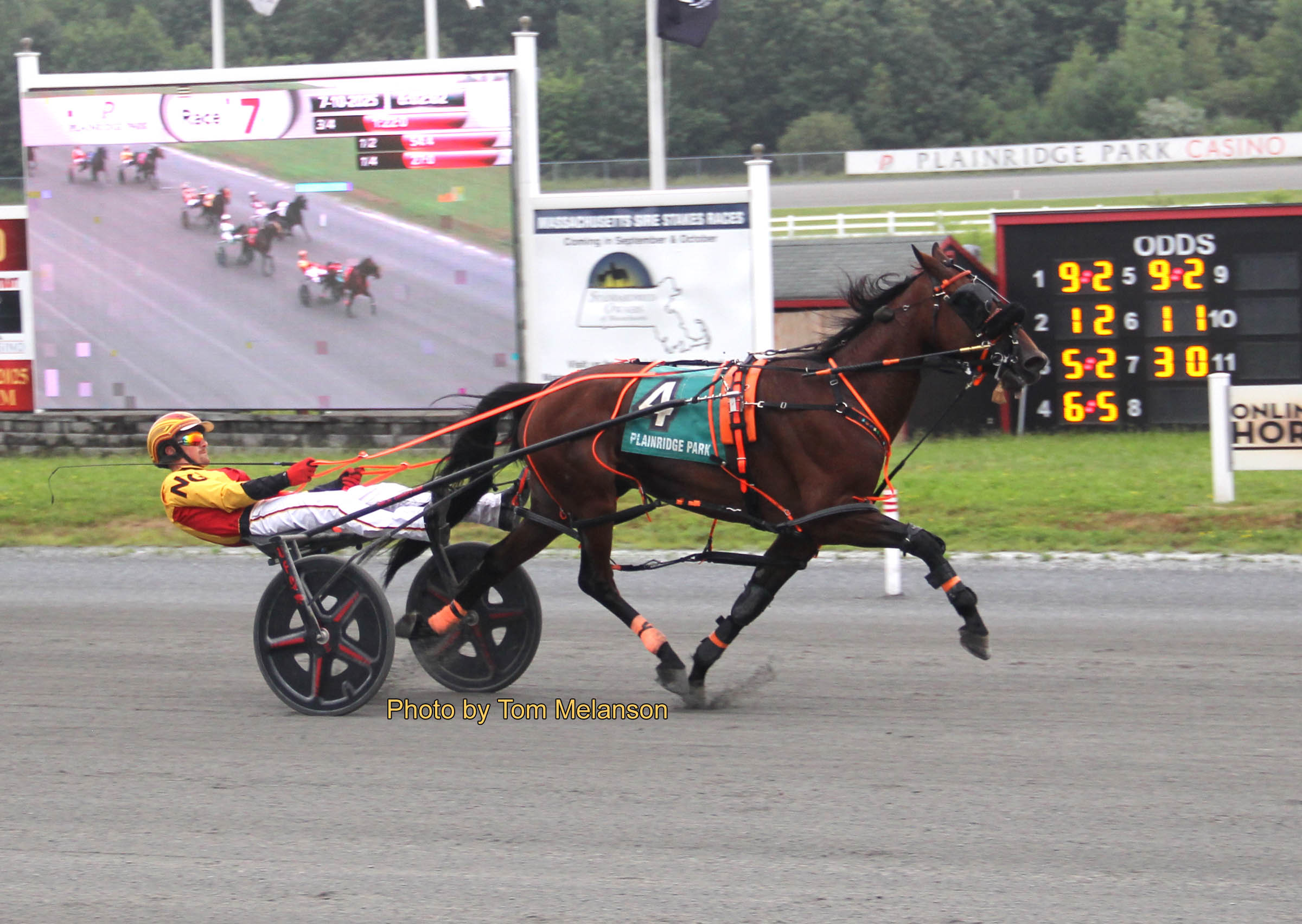 Lazarus gelding scorches a career best 1:49.1 1