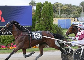Perfect stepping stone for speedy trotting mare