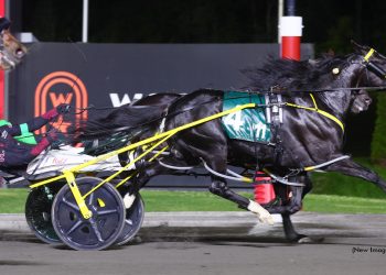 Louprint heads star-studded Breeders Crown eliminations