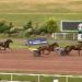 Machiavel Bourbon wins Prix du Pantheon