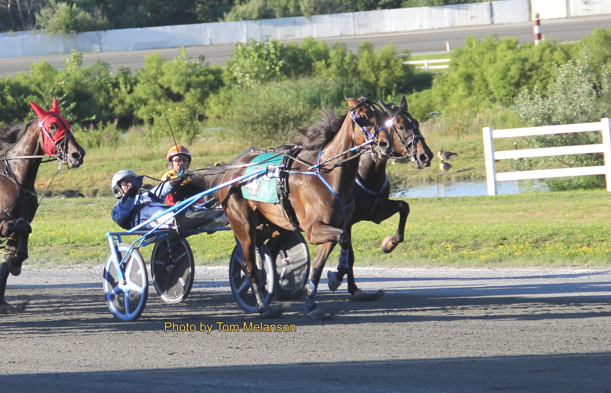 Corner Store, McStoned Again win $17,500 splits 2