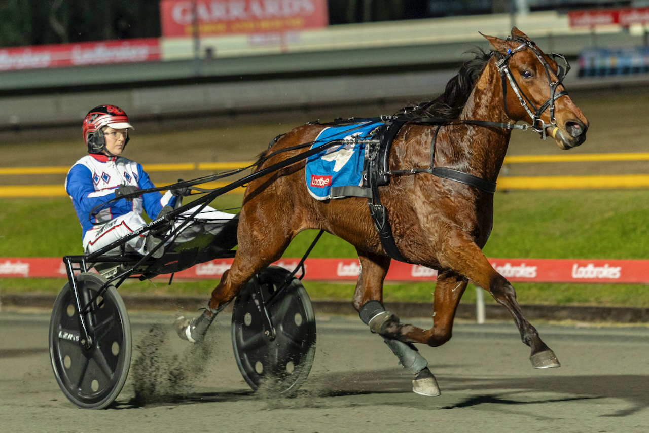 Ashwood and French chase Dominion dream 1