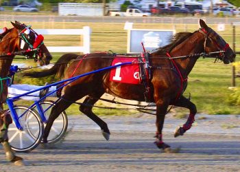 Fourteen-year-olds frolic at Bangor State Fair