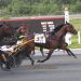 Platinum AS strikes late in top trot 1