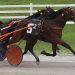 RELEASE: Little Expensive Wins Open Trot; Oak Grove Wraps Record-Breaking Meet