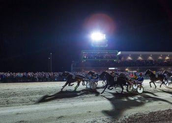 HRV announces a $2.75m Vicbred owning and breeding boost