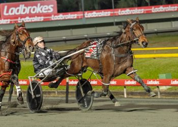 Weekly spotlight on breeding