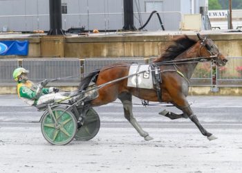 $635,000 in purses set for Thursday