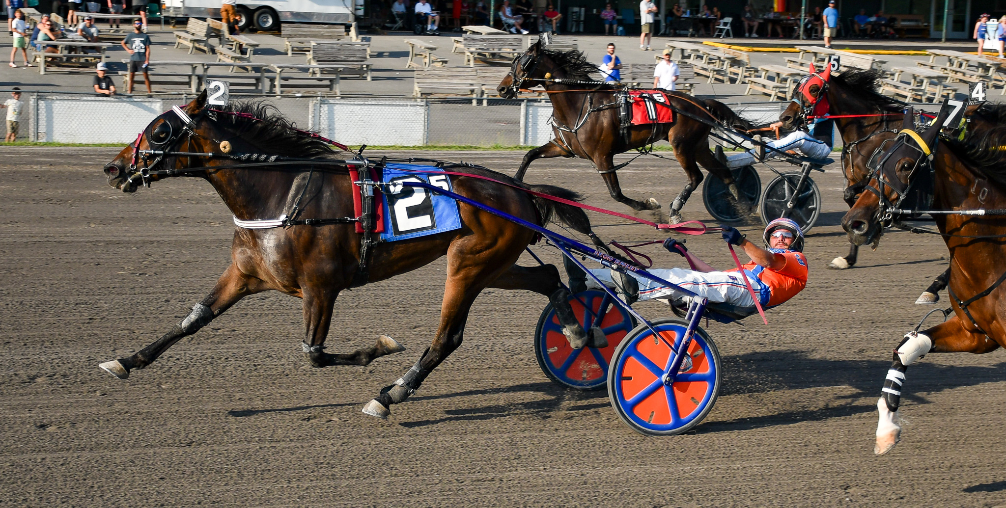Huntsville gelding tracks down the winning post at Vernon 2