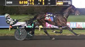 Fast two-year-old winners in America by Tasmanian sire 1