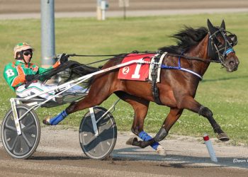 Track record for Supreme Rockette