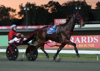 Sure Thing Captain repeats Inter Dom heat success.