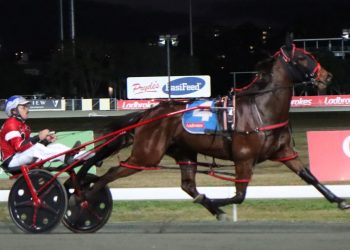 Sure Thing Captain salutes for Queensland