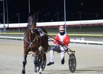 Swiatek Leis chases historic Sires Stakes treble