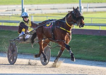 Thornley closing in on major milestone