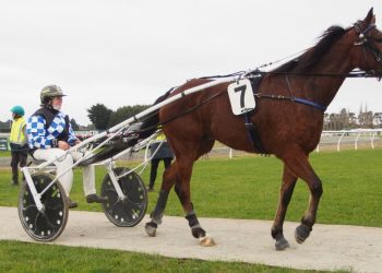 To The Moon And Back wins Gold Chip