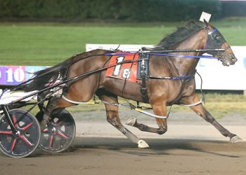 Twin B Joe Fresh repeats in $142,000 Dorothy Haughton