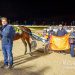 Jays All That and Harperseven take out APG 2YO trotters classics