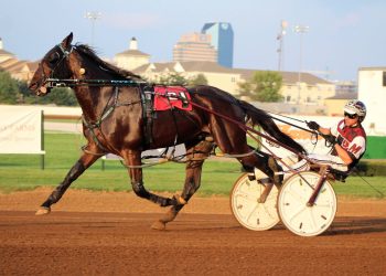 U S Captain… reporting for duty sire!!